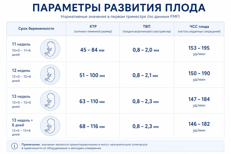 Параметры развития плода
