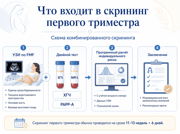 Что входит в скрининг первого триместра
